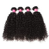 Parksonhair Jerry Curly Human Hair 4 Bundles With 4*4 Lace Closure