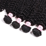 Parksonhair Kinky Curly Human Hair 4 Bundles With 4*4 Lace Closure