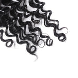 Parksonhair Deep Wave Human Hair 5x5 Lace Closure